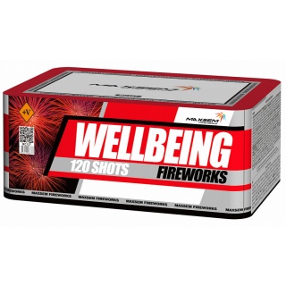 Салют МС127  Wellbeing Fireworks / Фейерверк благополучия 120 залпов, 0,8