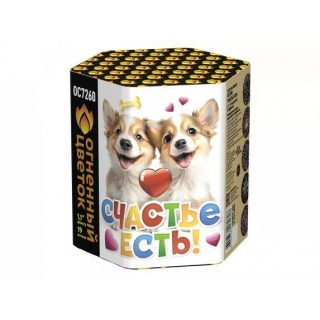 Салют ОС7260 Счастье есть!, 19 залпов, 1,1