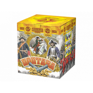 Салют РС9505 Полтава, 25 залпов, 1,5