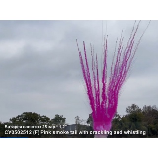 Дневной гендерный веерный салют СУ0502512, красный, Pink smoke with crackling, 25 залпов, 1,2